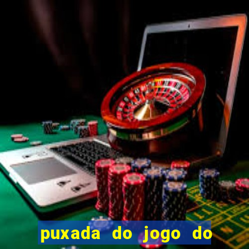 puxada do jogo do bicho da sueli